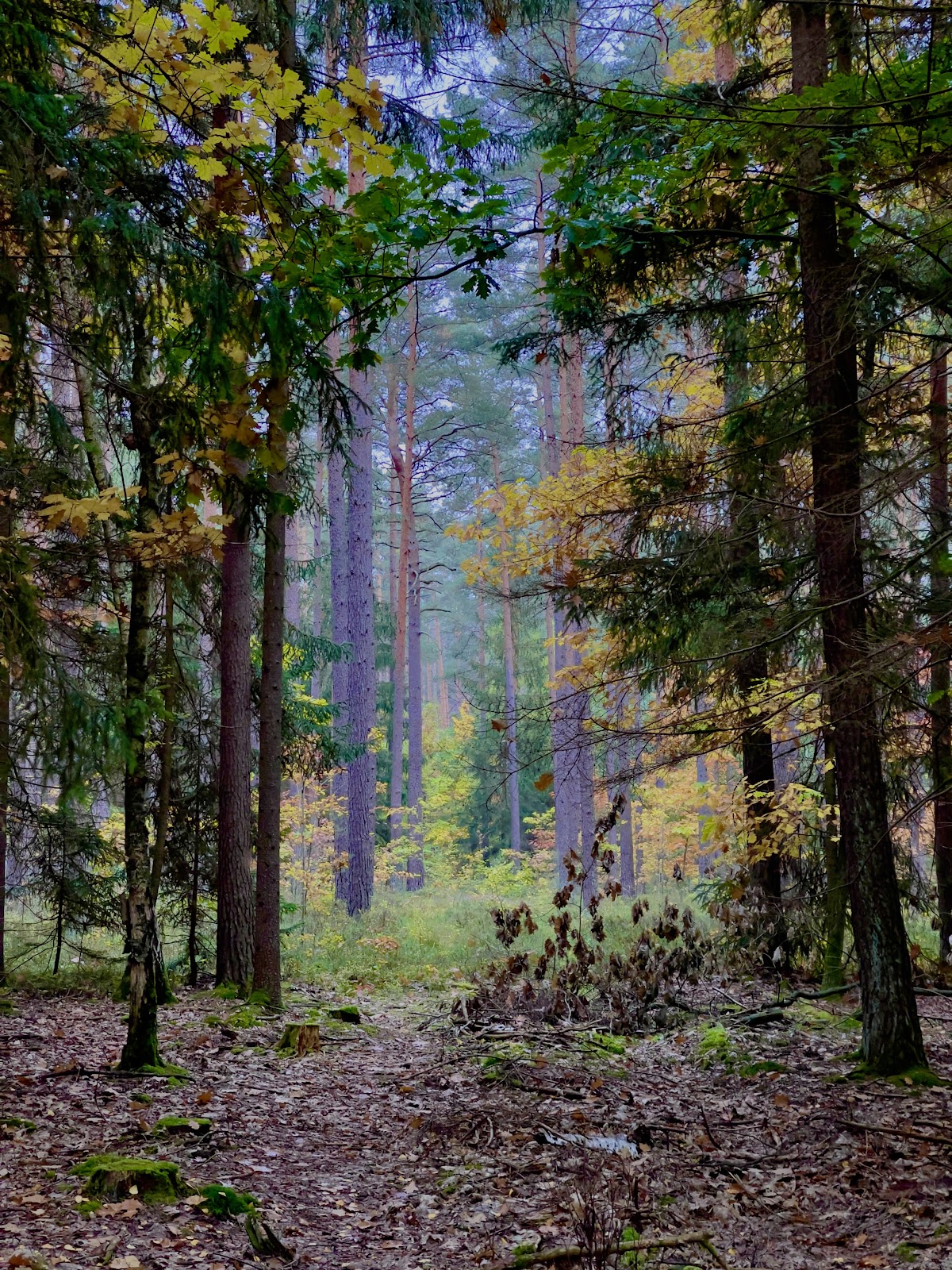gp_69f966120f93b