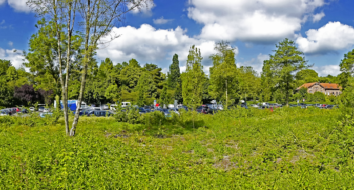 gp_69f9669c0503e