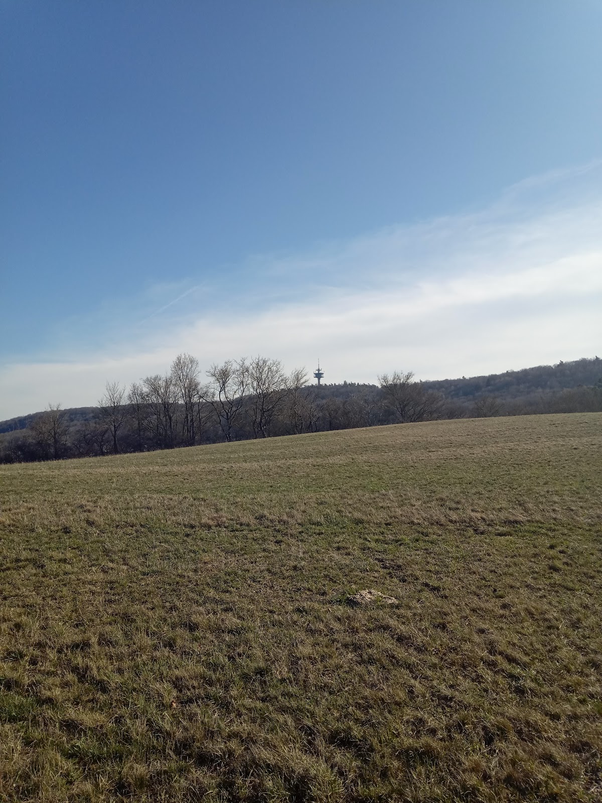 gp_69f9671bd2293