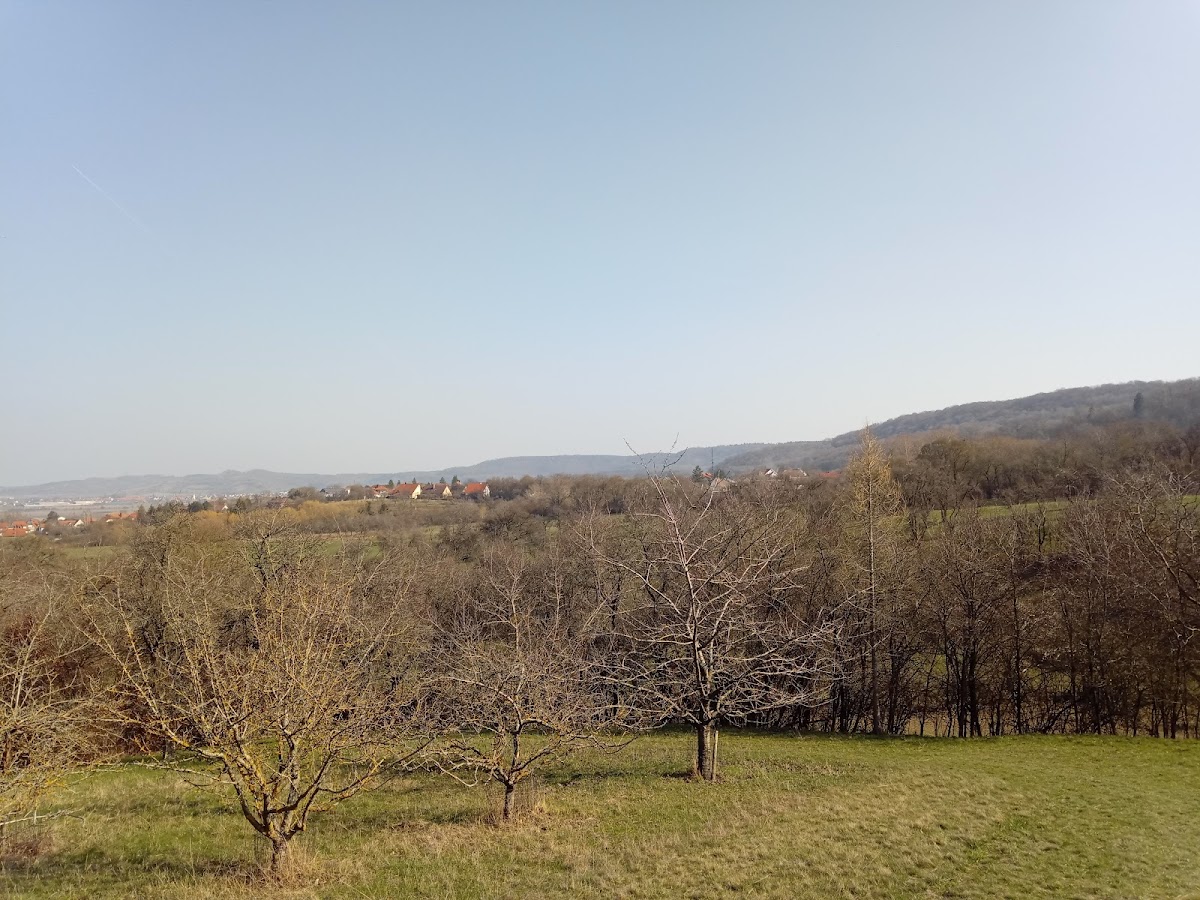 gp_69f9671d6ede1