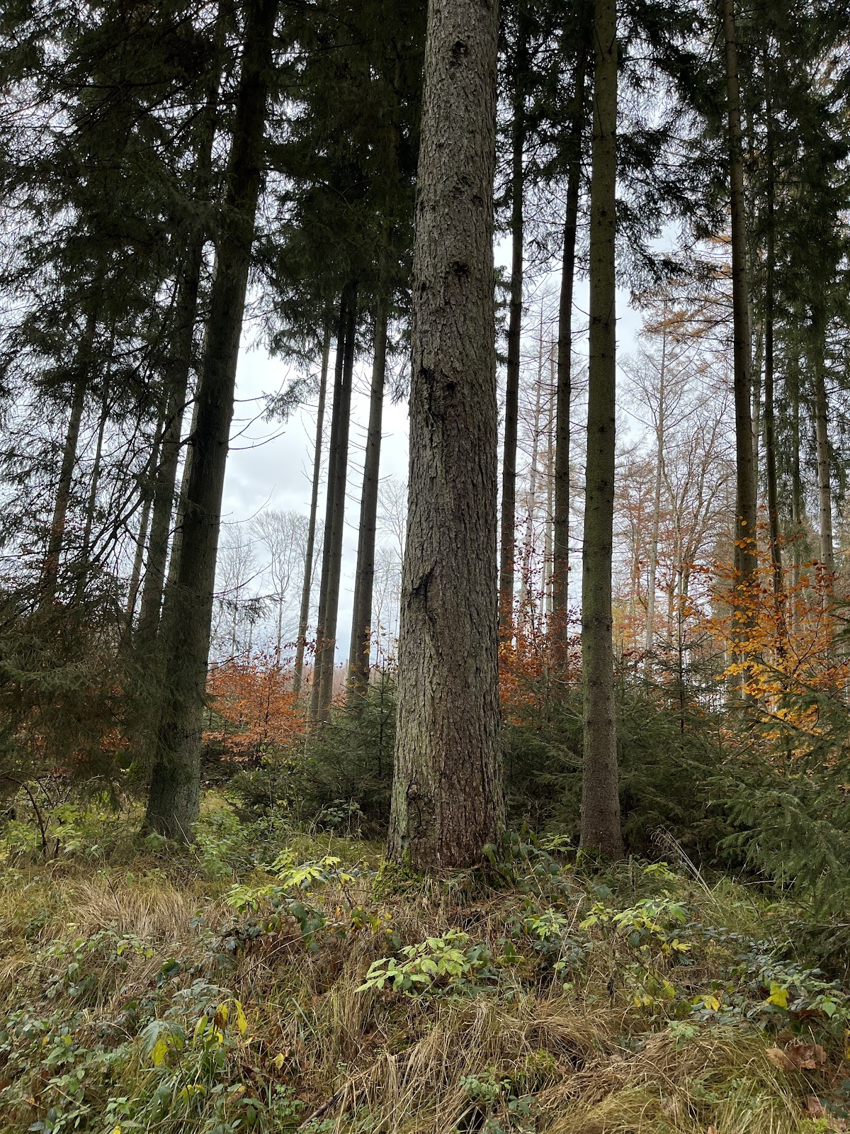 gp_69f9678490b12