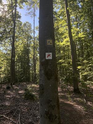 gp_69f9679244558