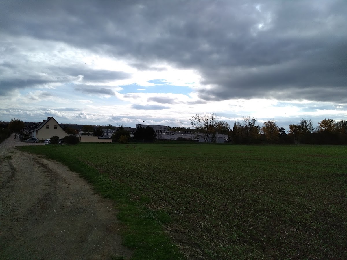 gp_69f967ef0401c