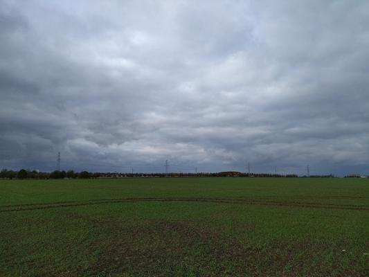 gp_69f967f02d1bf