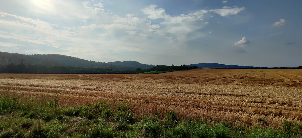 gp_69f9680f87776