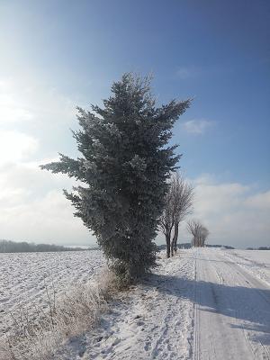 gp_69f9681555ae6