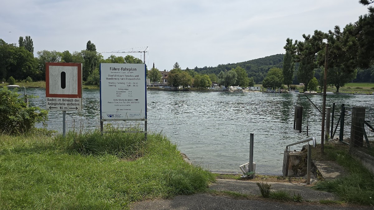 gp_69f9686682d72