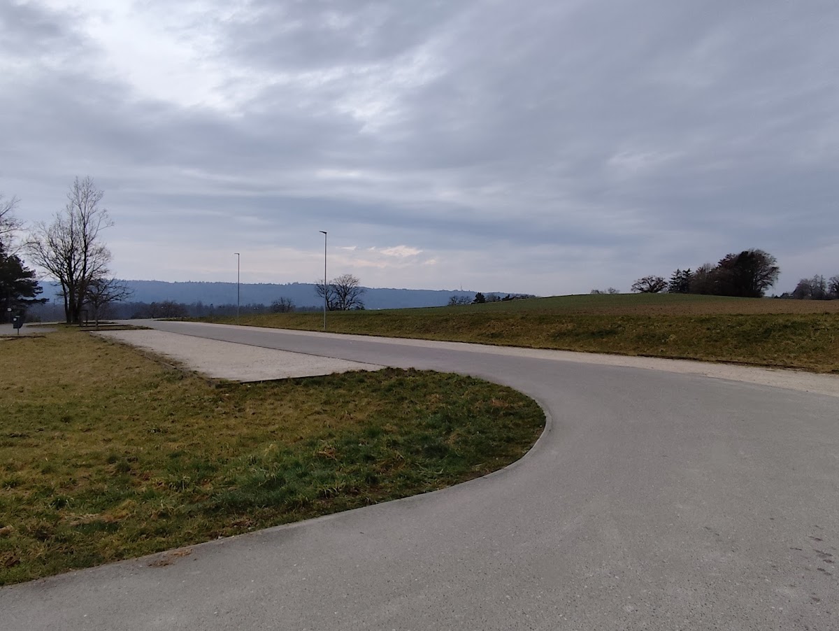 gp_69f9687537012