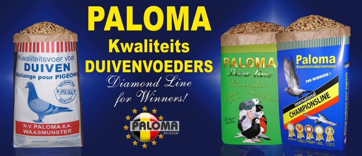 gp_69f9697e0166a