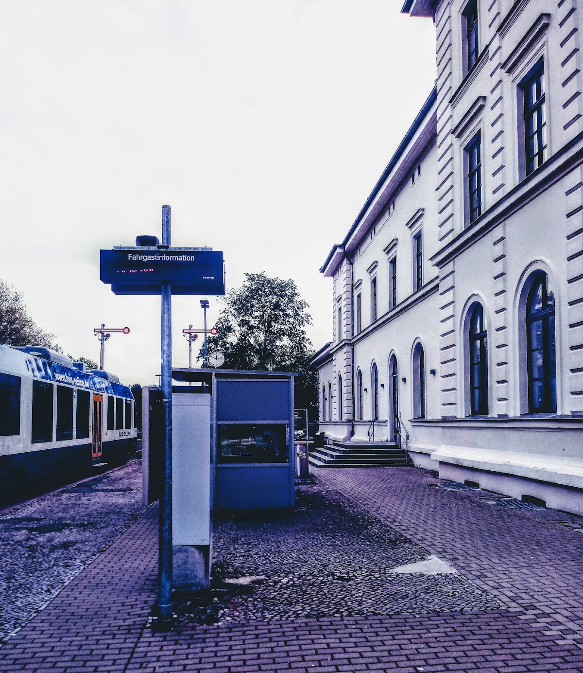 gp_69f96c1466cfe