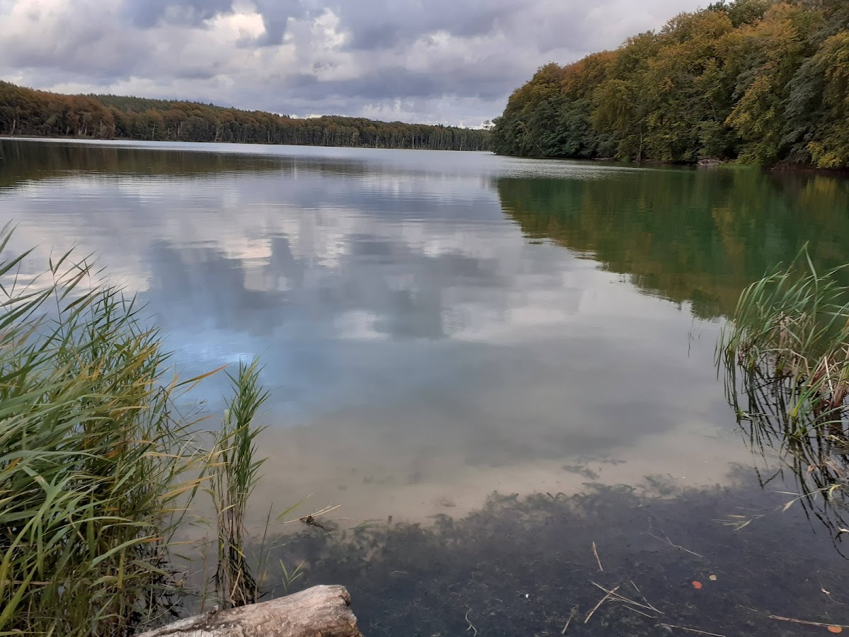 gp_69f96c5f84136