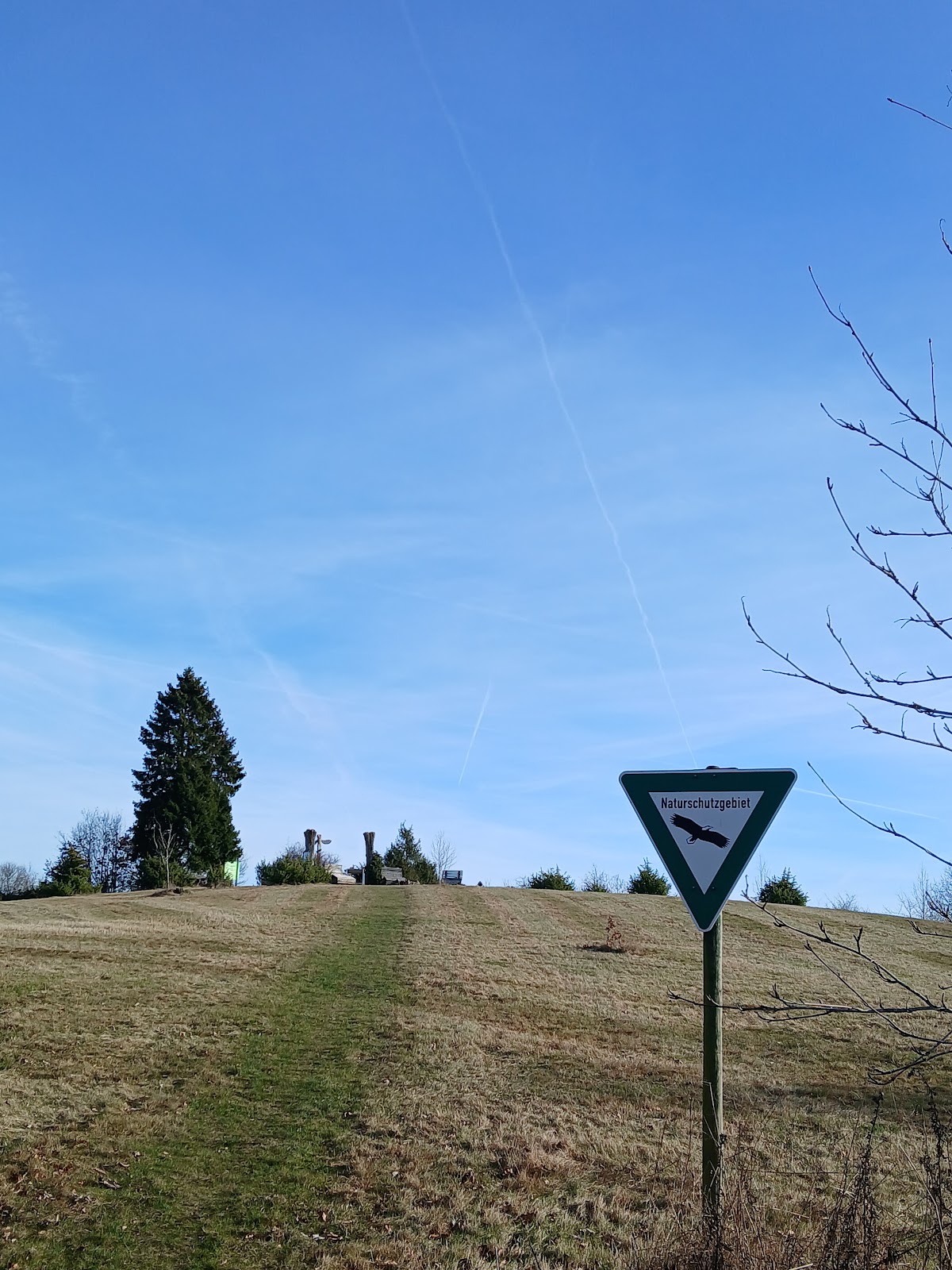 gp_69f96c83dde58