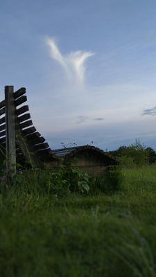 gp_69f96c84bf3f1