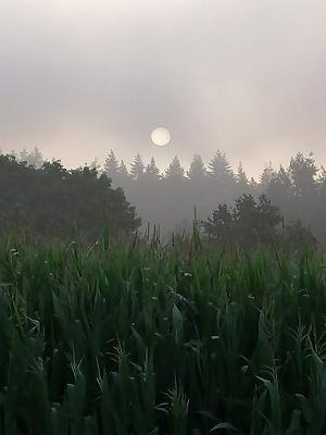 gp_69f96f445abf2