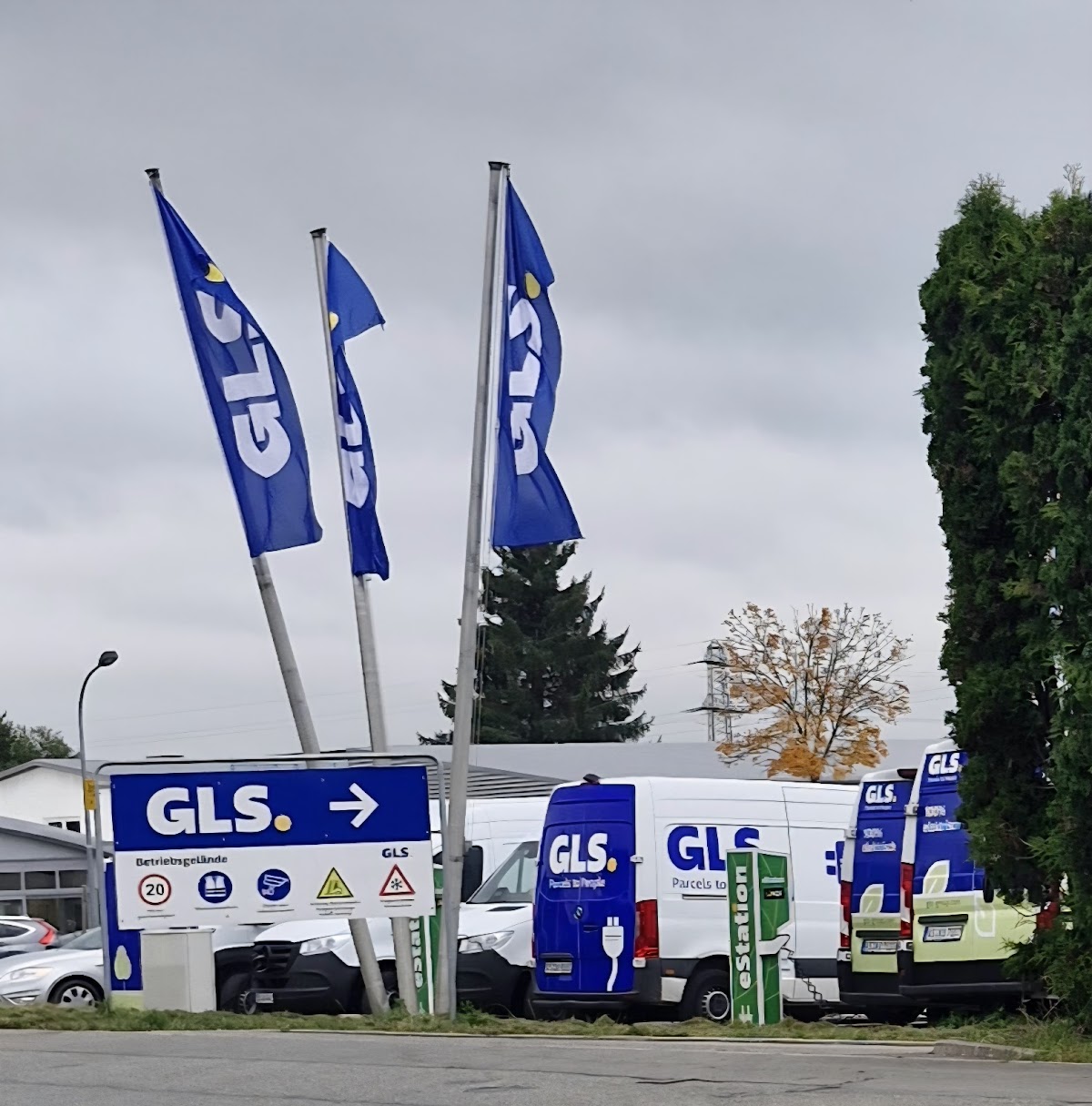 gp_69f9712653304