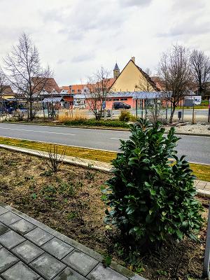 gp_69f9719612375