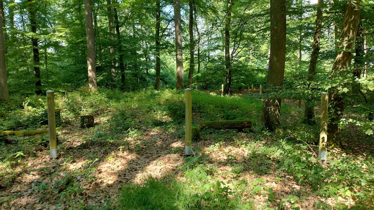 gp_69f971c177801