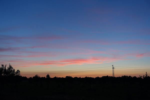 gp_69f97262c9b50