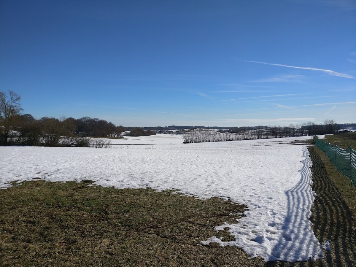 gp_69f9727824342