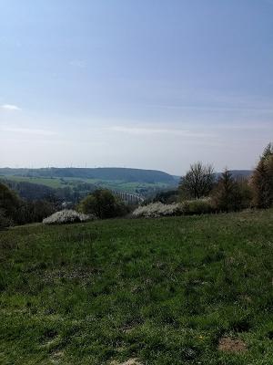 gp_69f943600ea97