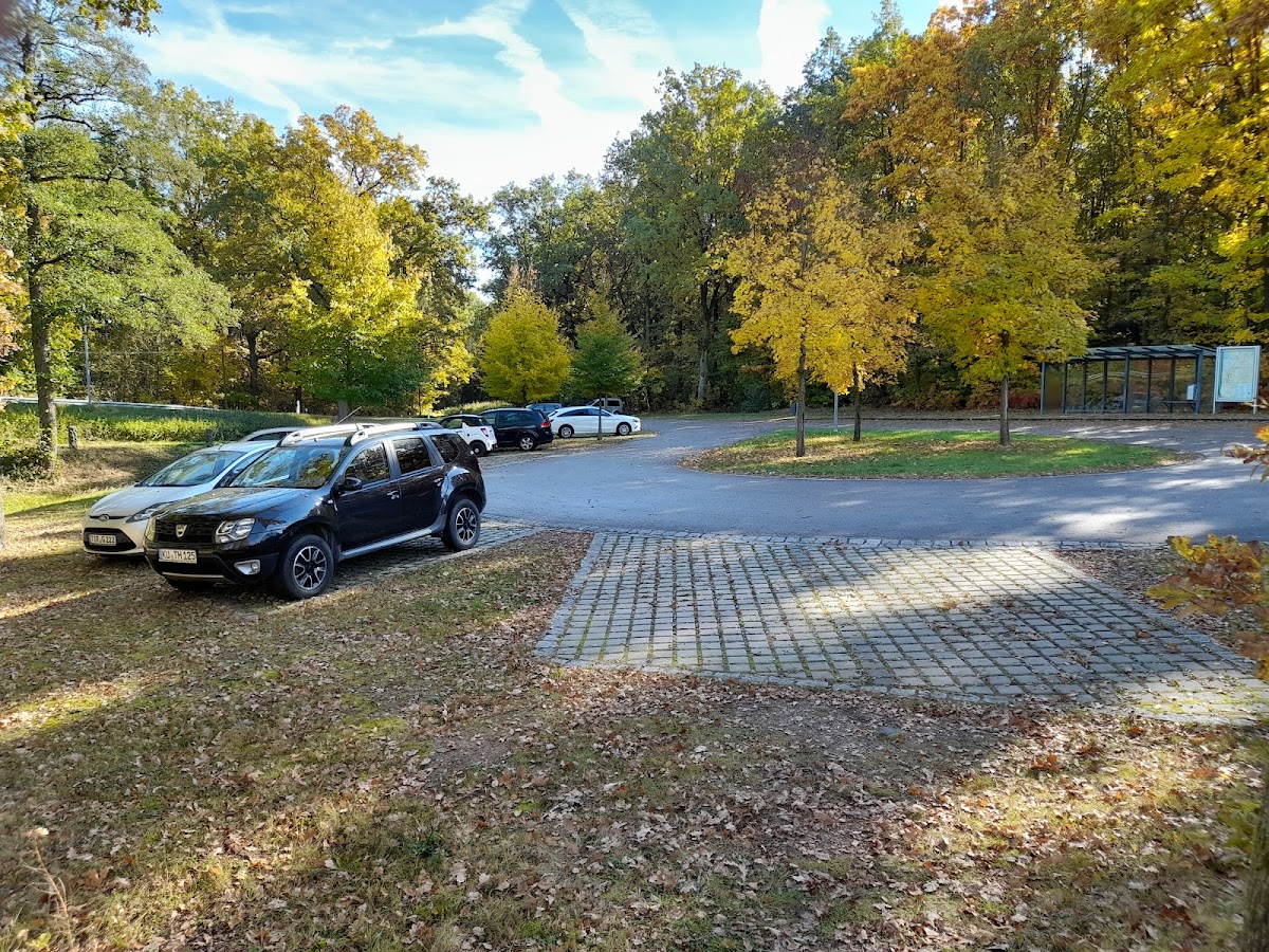 gp_69f9444cdd6b1