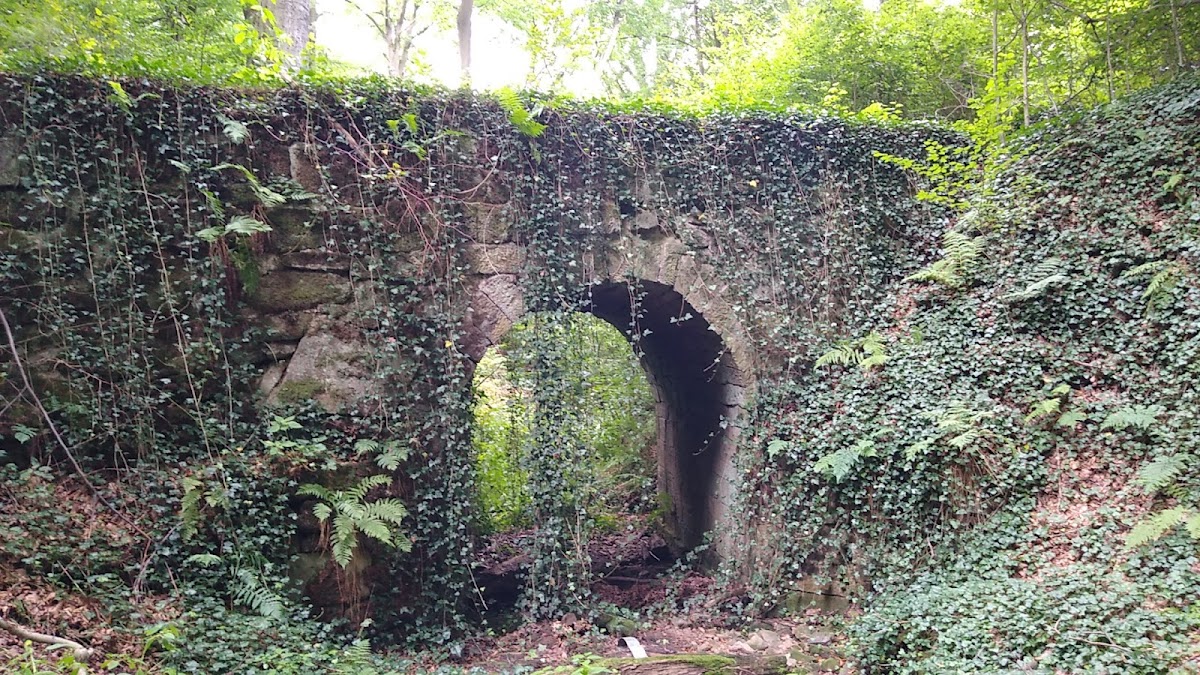 gp_69f80e7c93565