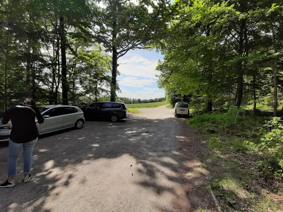 gp_69f9449677e44
