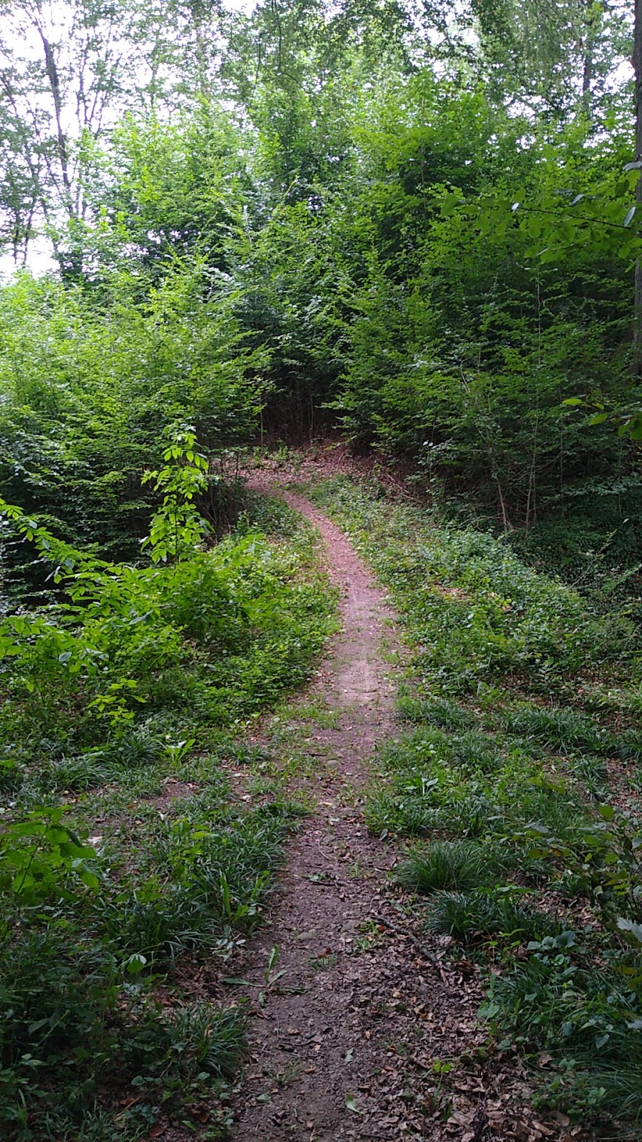 gp_69f80e7f08564