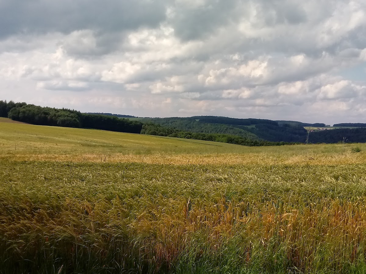 gp_69f94581436f1