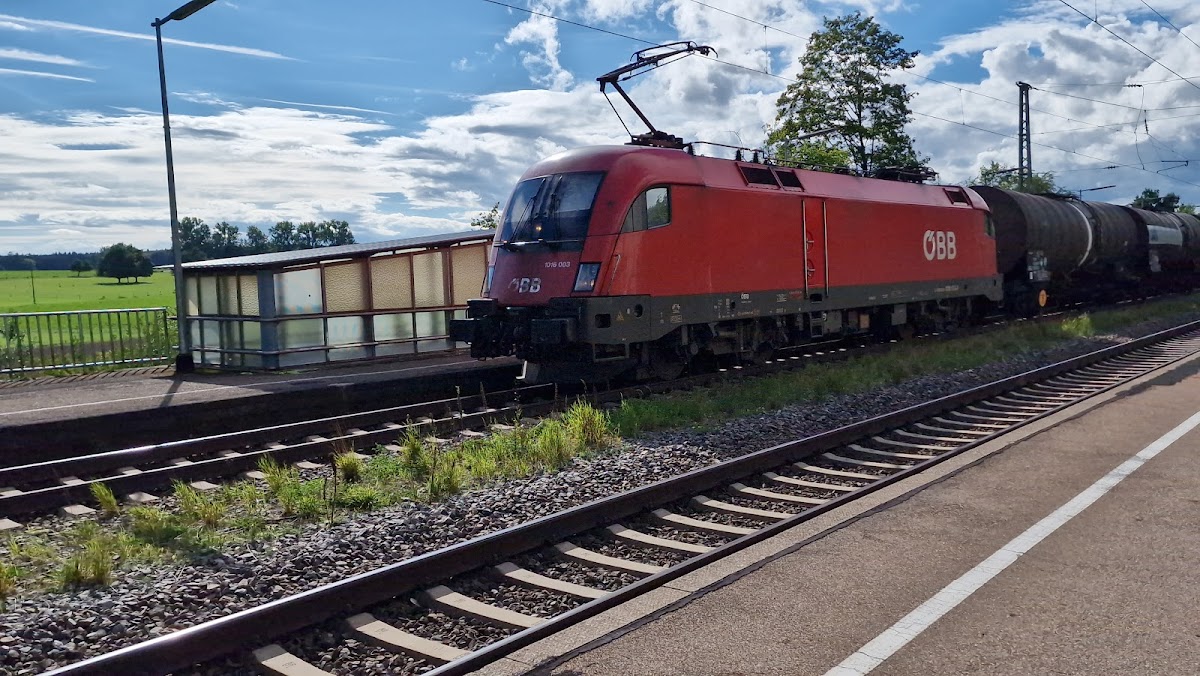 gp_69f80e974ab61