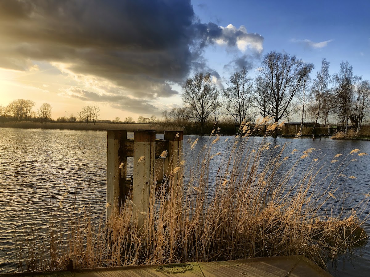 gp_69f946170ab97