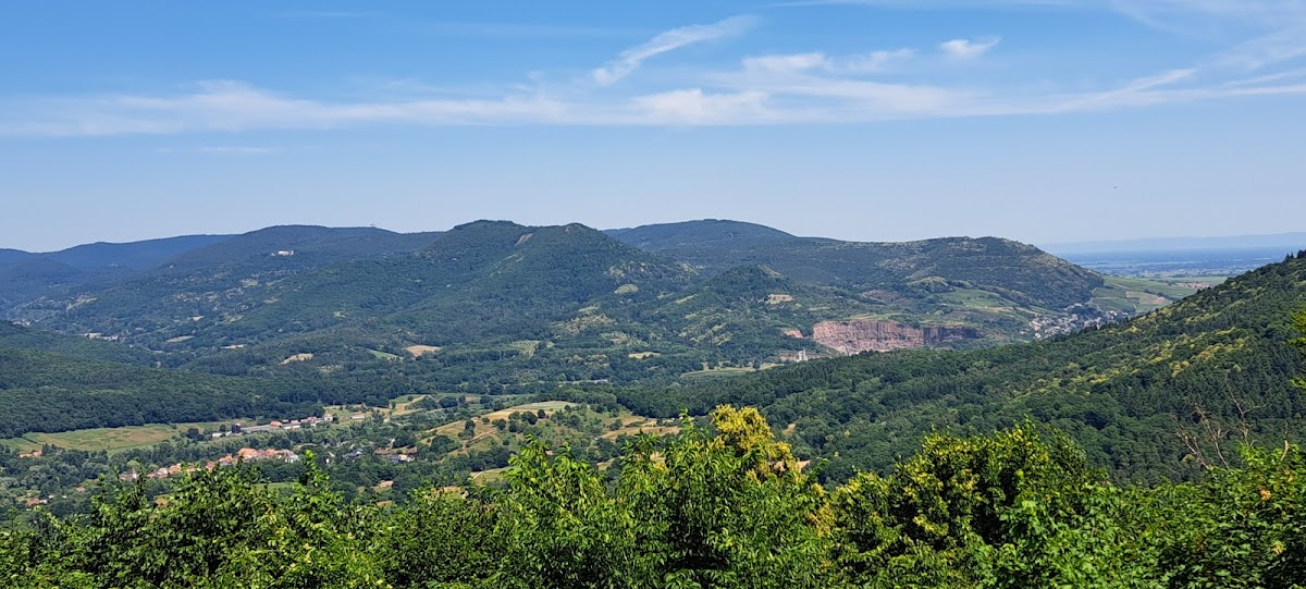 gp_69f9464900672