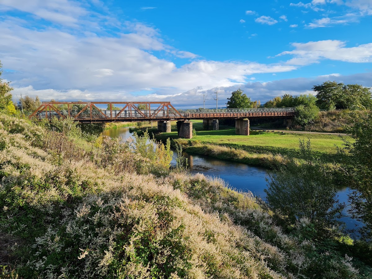 gp_69f9479a303a1