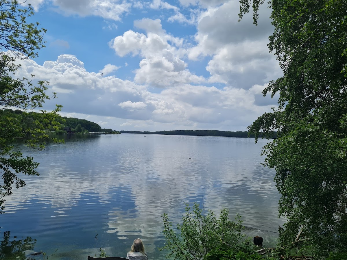 gp_69f94828e8570