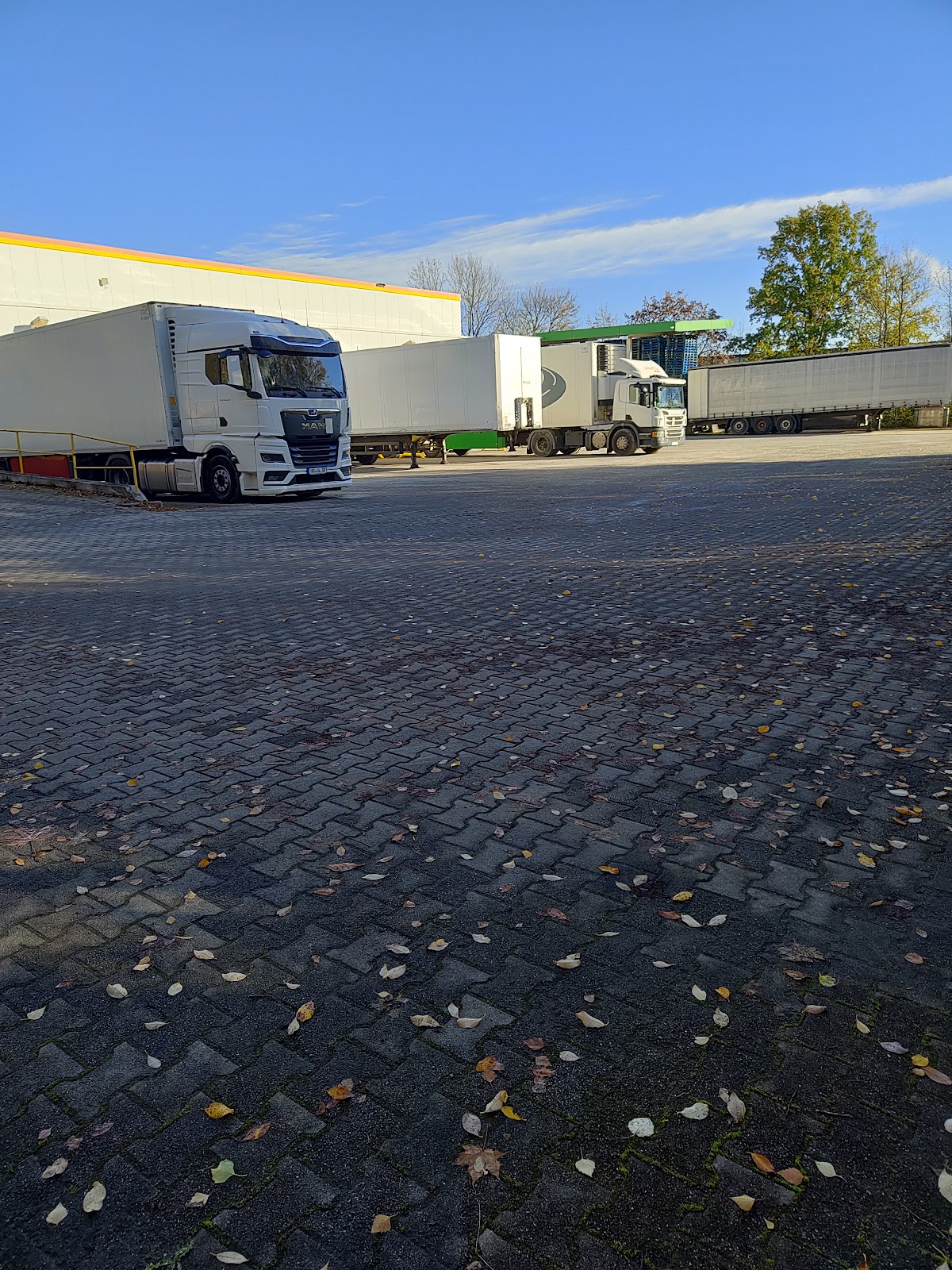 gp_69f9491b67ebe