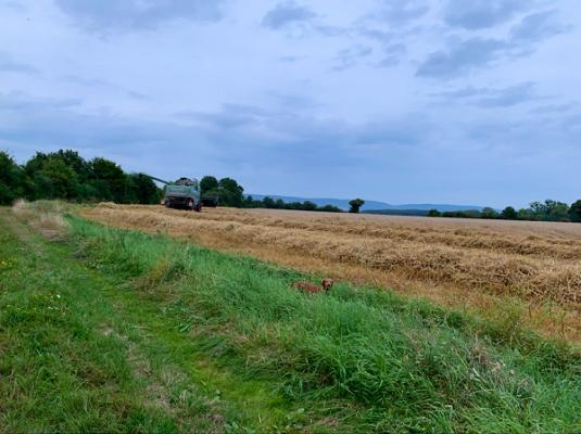 gp_69f9492db8f30