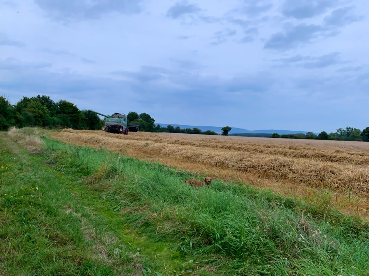 gp_69f9492db8f30