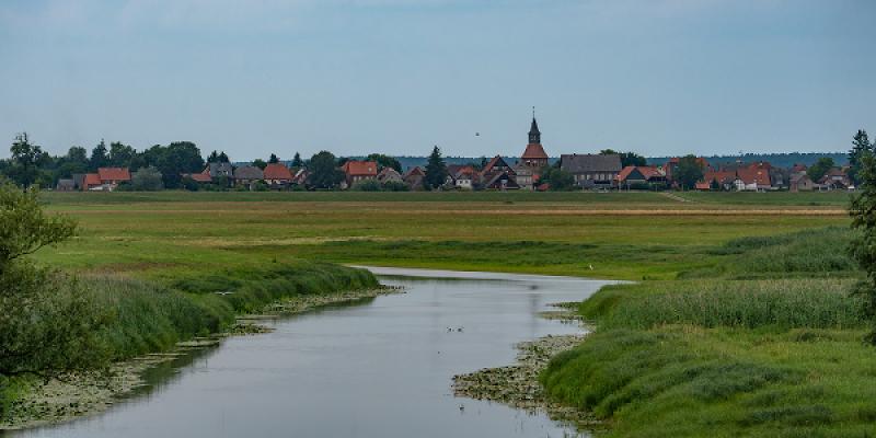 gp_69f94993dbda7