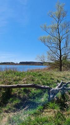 gp_69f949978e672