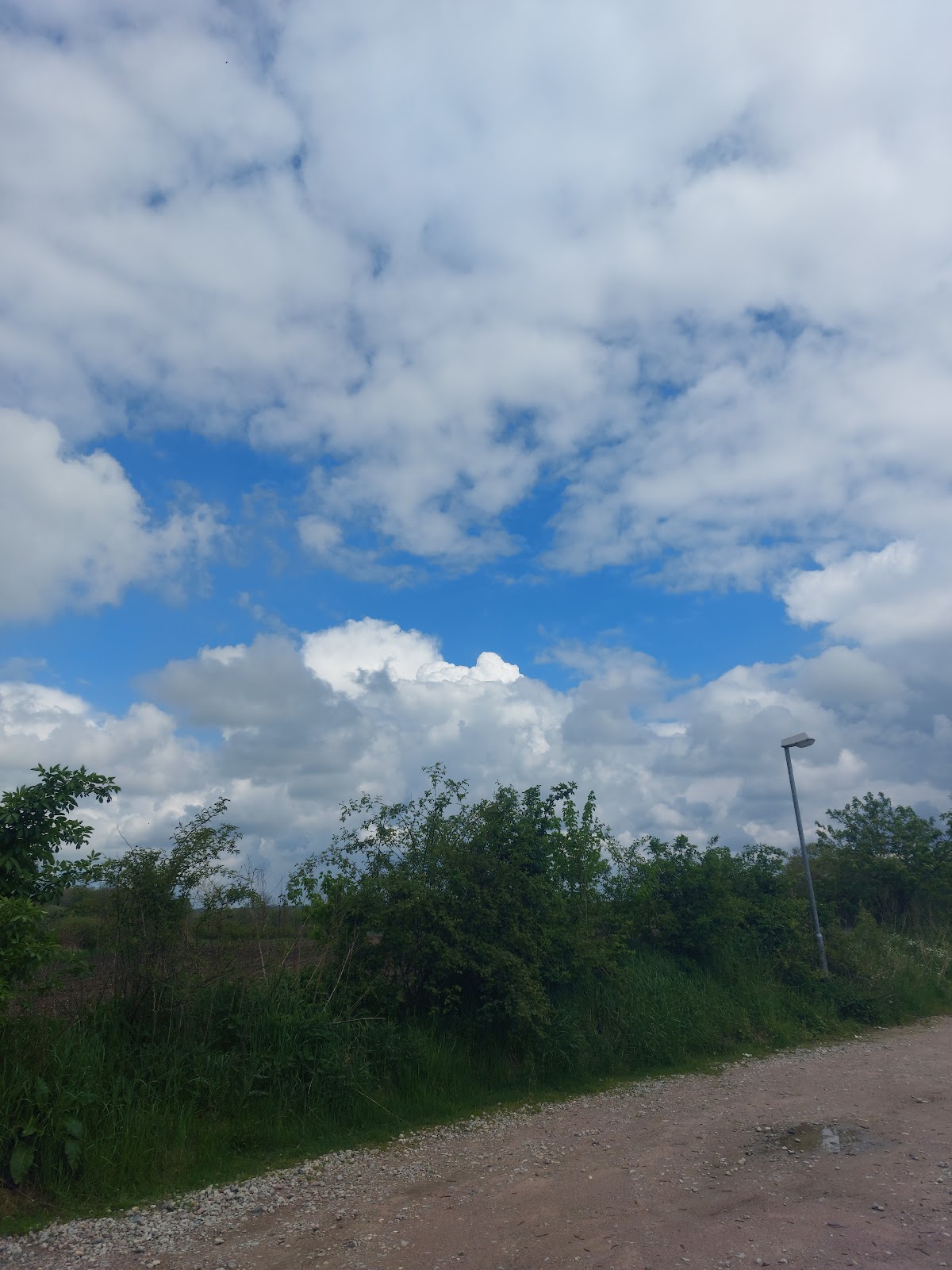 gp_69f92842bbb18