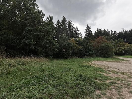 gp_69f94ad079df3