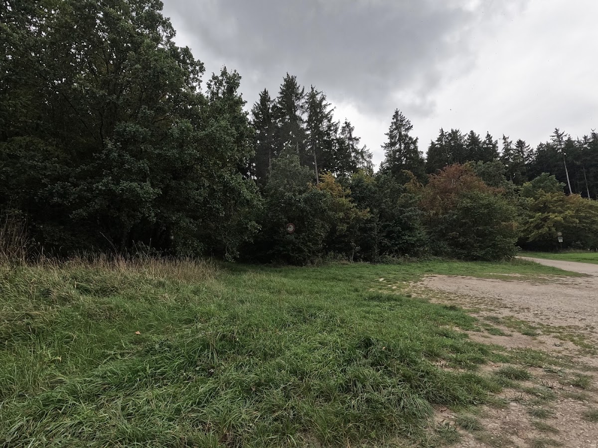 gp_69f94ad079df3