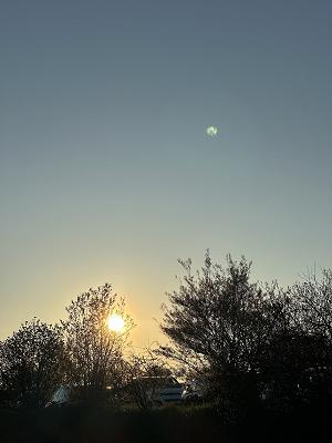gp_69f94ae580584