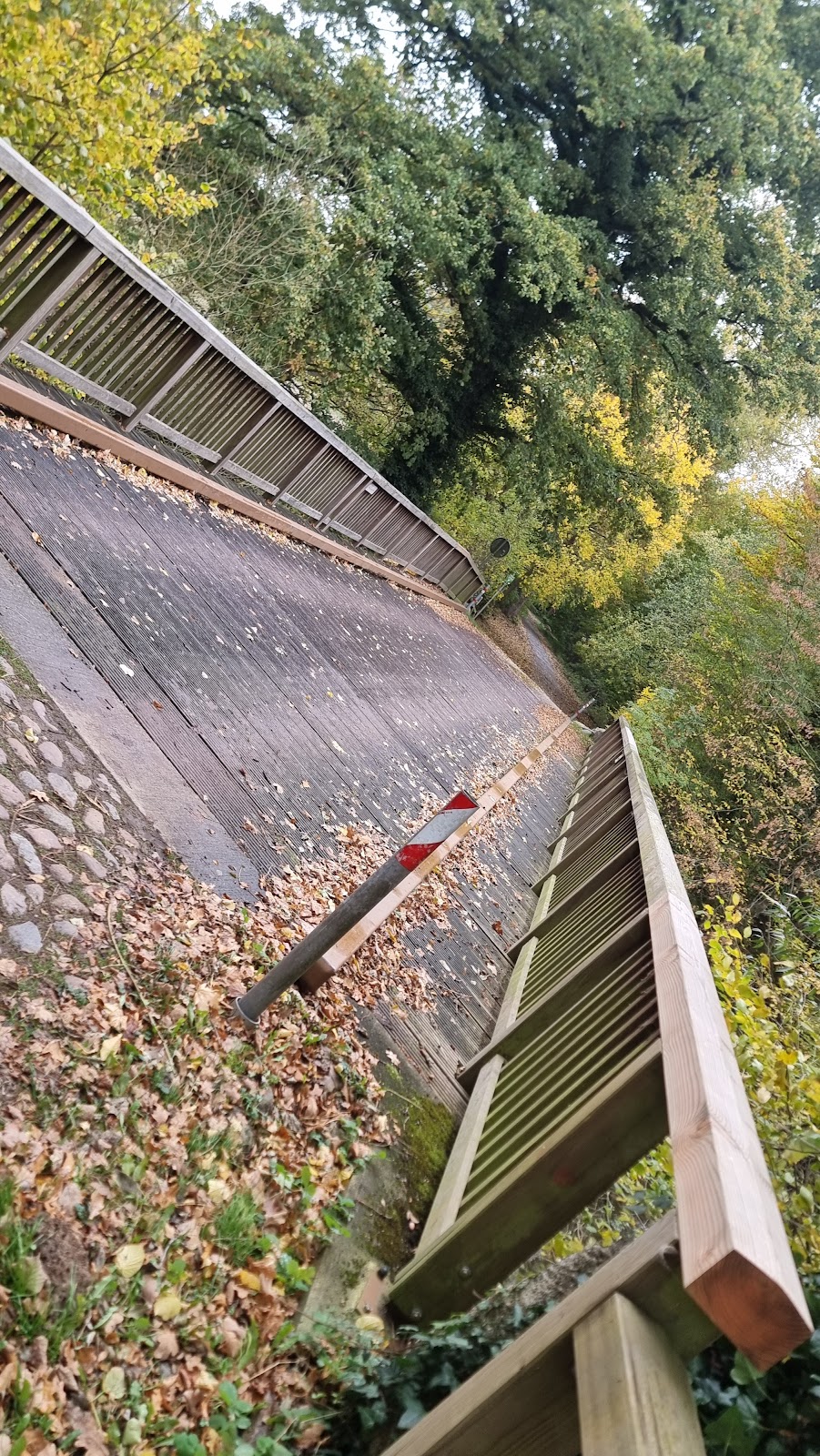 gp_69f94b7702881