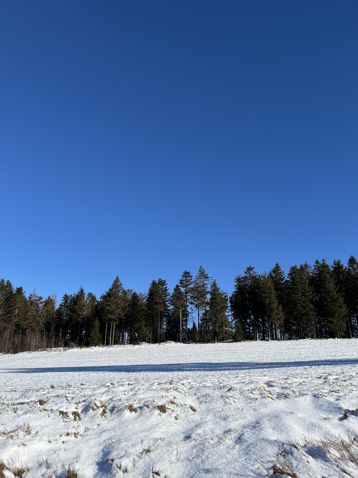 gp_69f94b9a98528