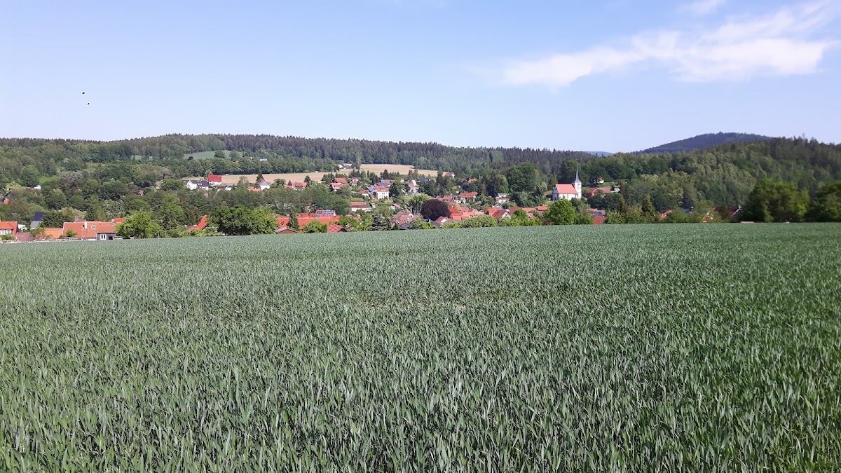 gp_69f9287cf3416