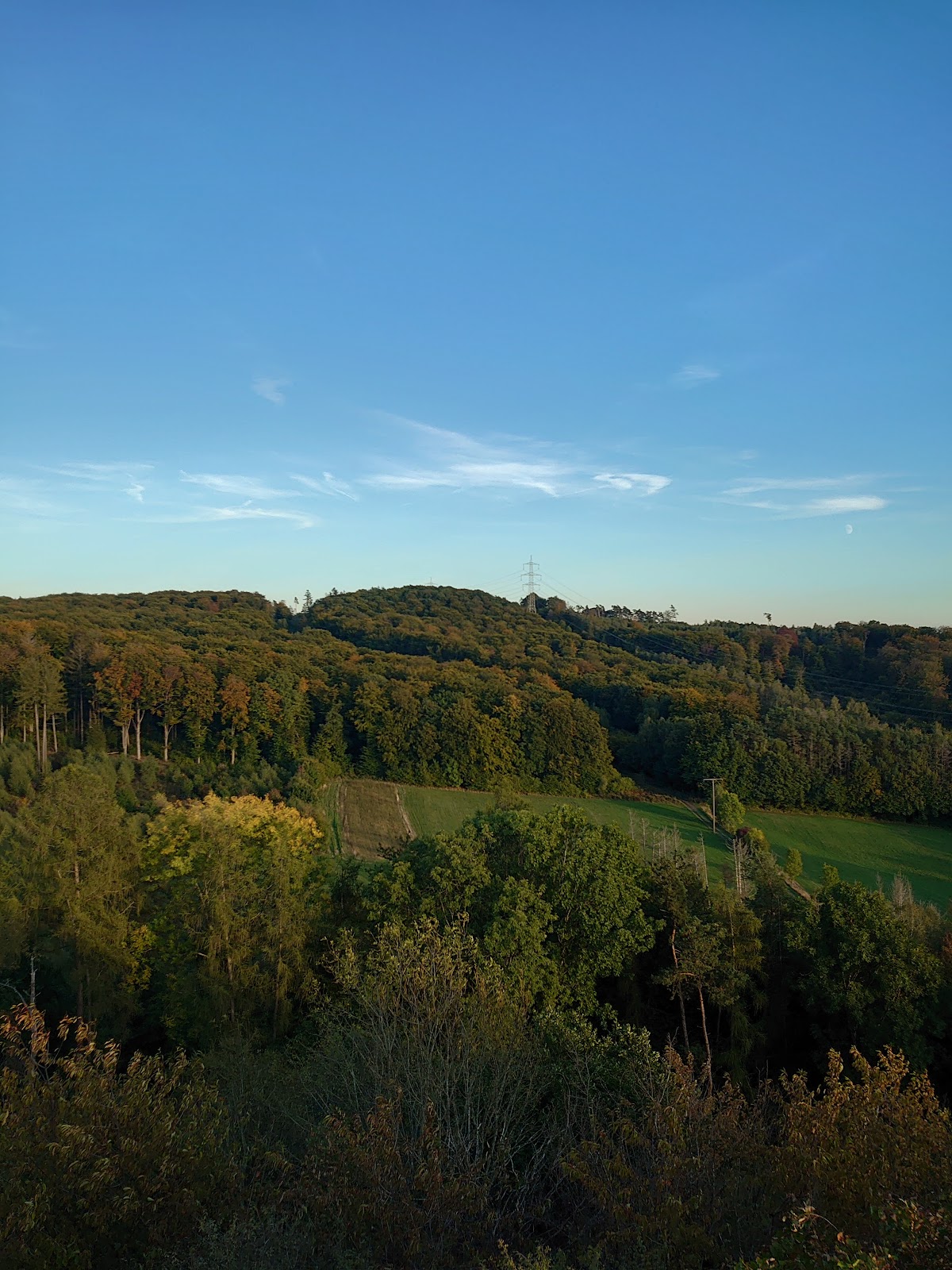 gp_69f94c354e066