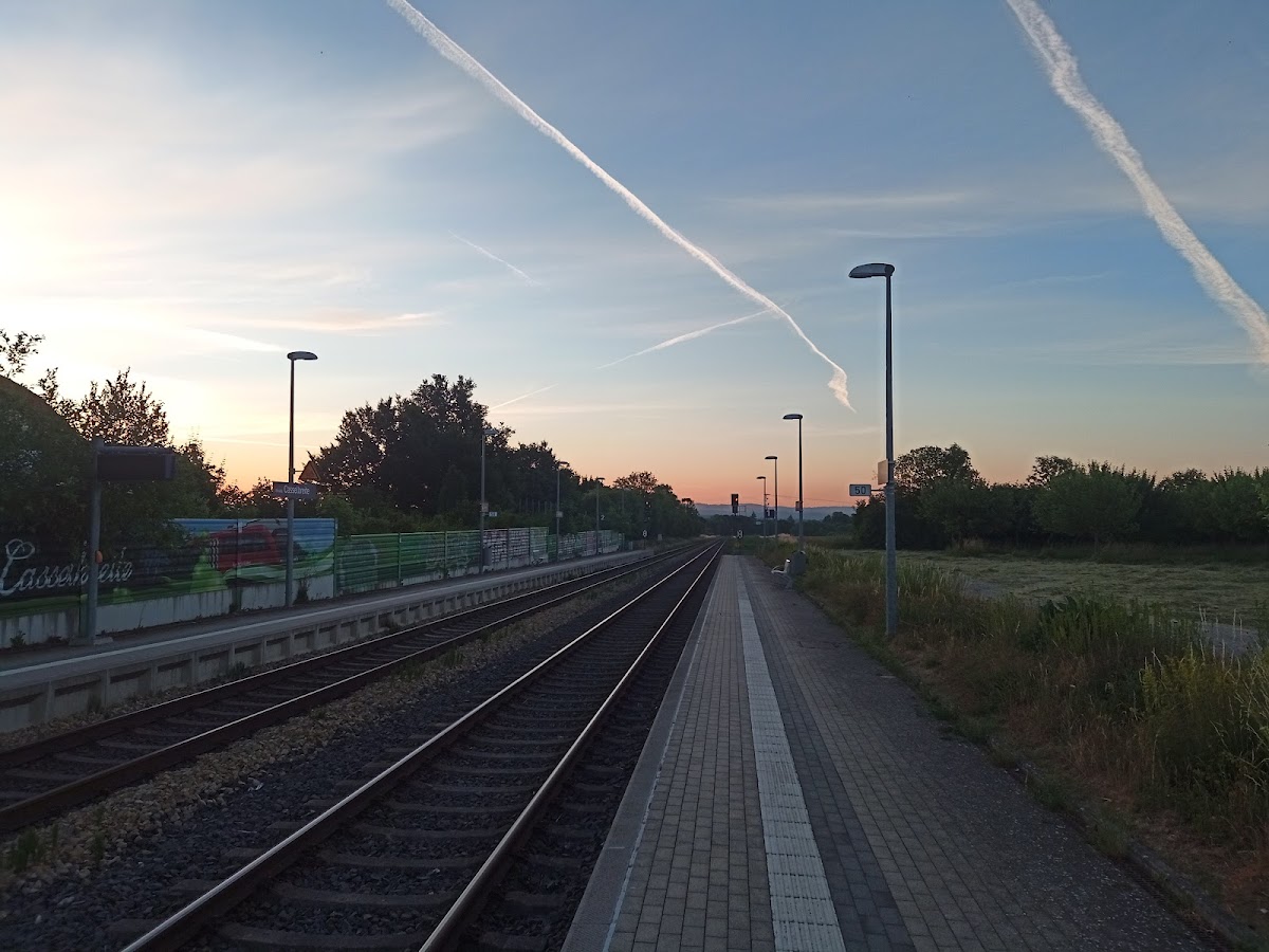 gp_69f928914d59f