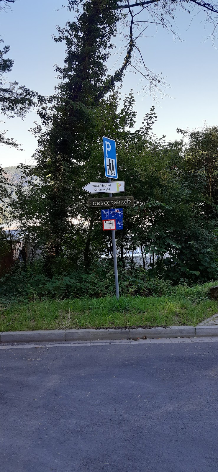 gp_69f94c4490c60