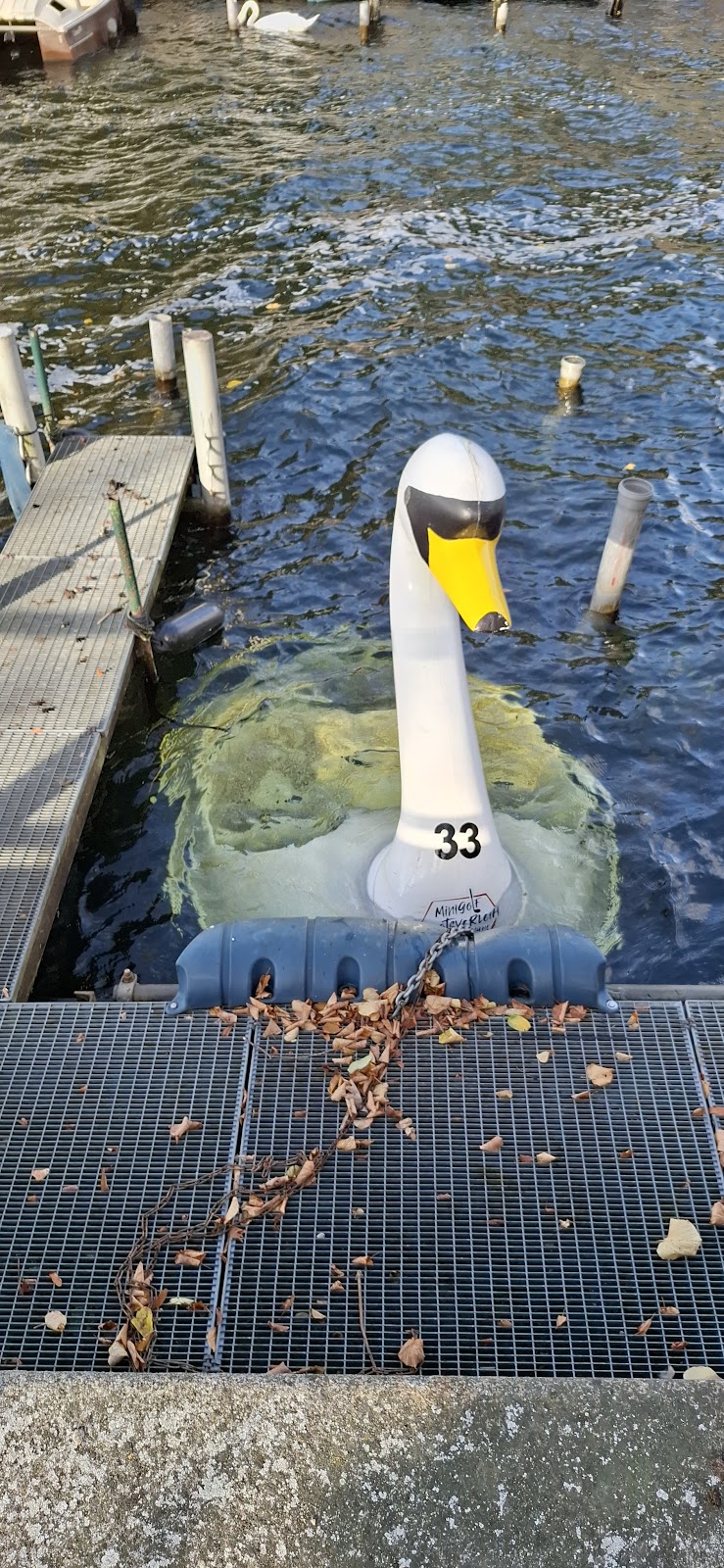 gp_69f94c8cb0783